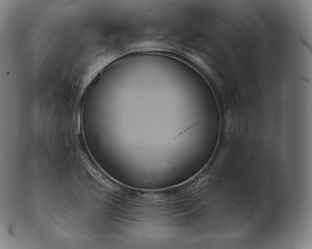 X0000101211413200807111022