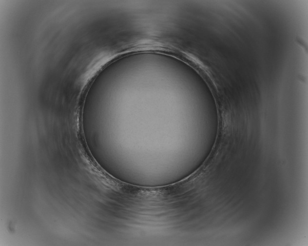 X0000101211415200807111022