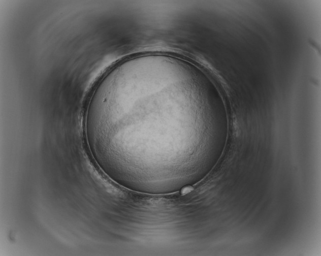 X0000101211416200807111022