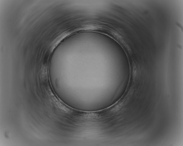 X0000101211417200807111022