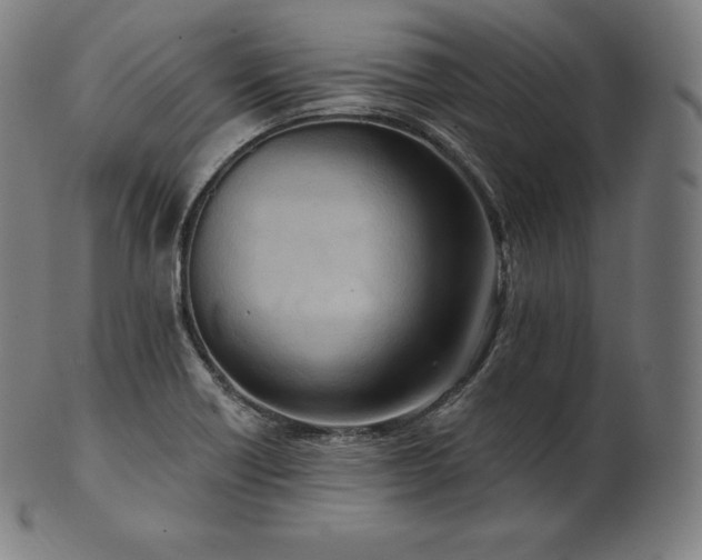 X0000101211418200807111022