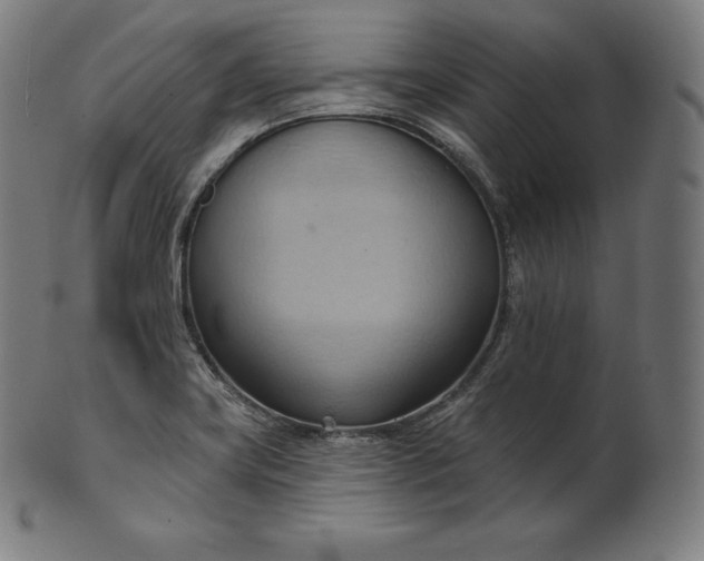 X0000101211419200807111022