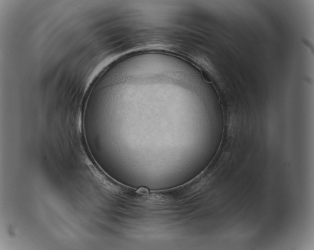 X0000101211420200807111022