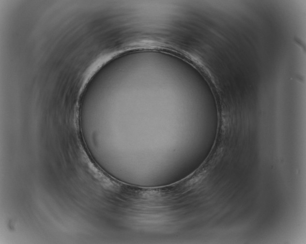 X0000101211421200807111022