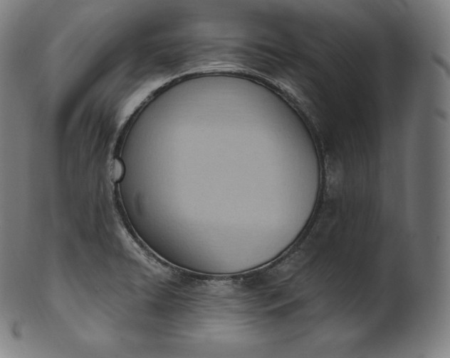 X0000101211422200807111022