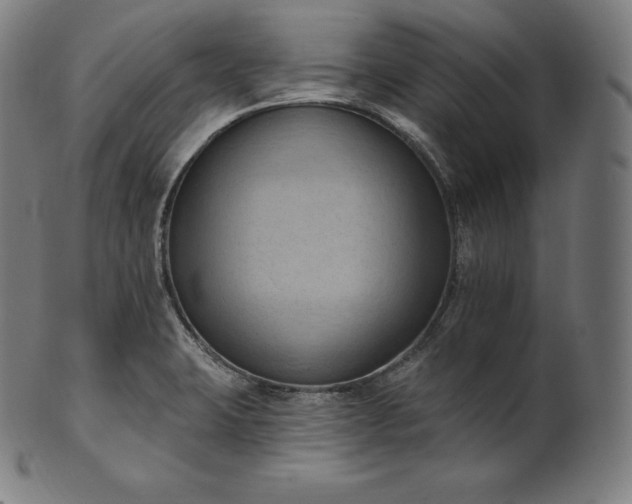 X0000101211423200807111022