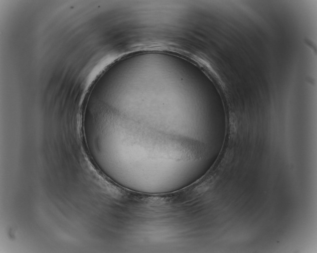 X0000101211424200807111022