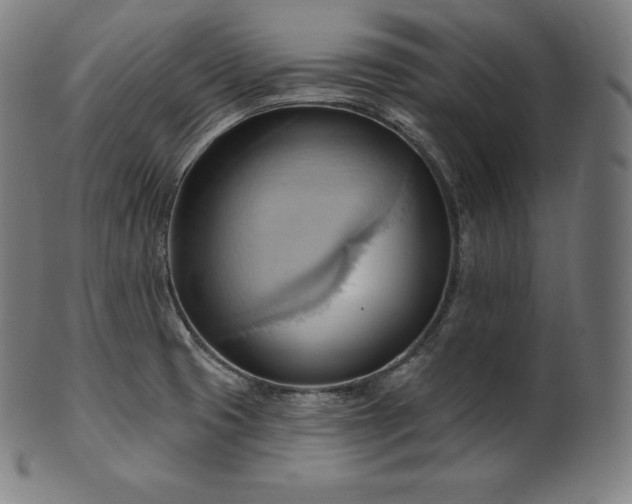 X0000101211425200807111022