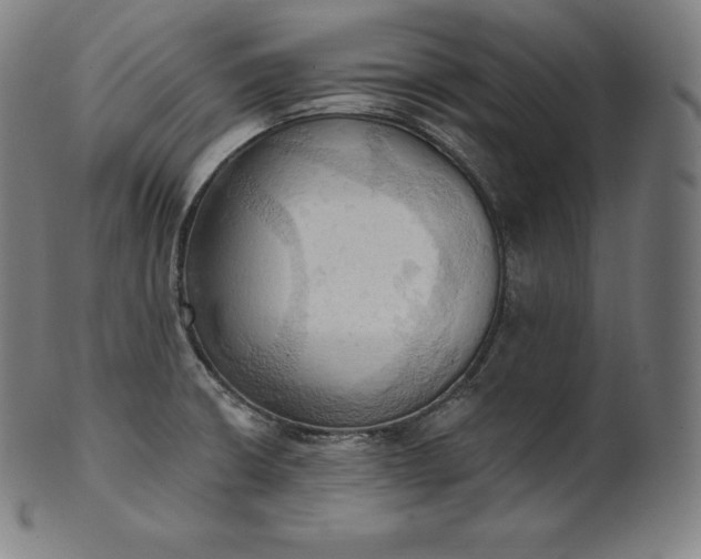 X0000101211426200807111022