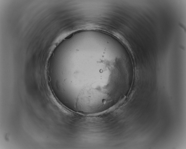 X0000101211429200807111022