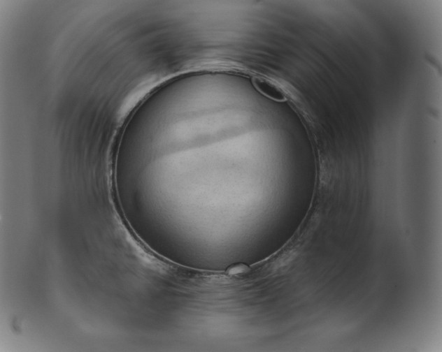 X0000101211430200807111022