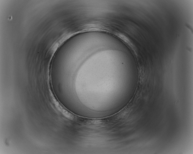 X0000101211431200807111022