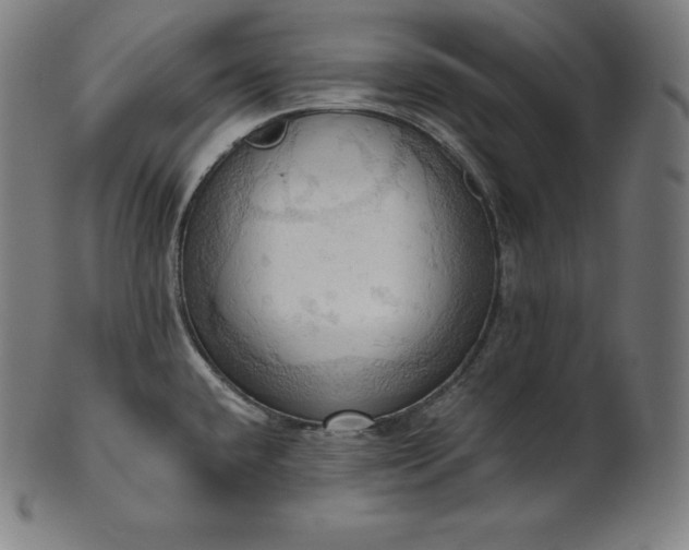 X0000101211432200807111022