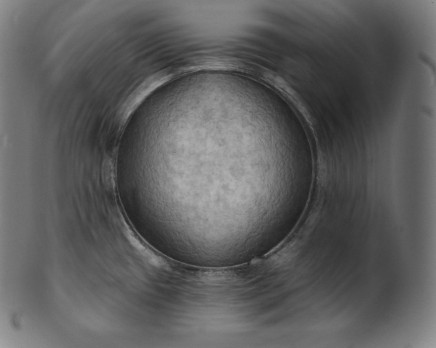 X0000101211433200807111022