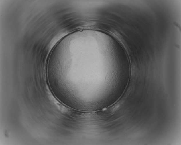 X0000101211434200807111022