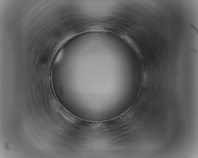 X0000101211435200807111022