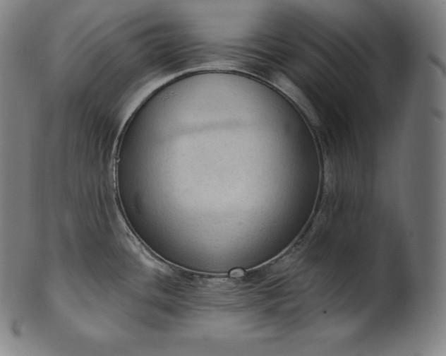 X0000101211436200807111022