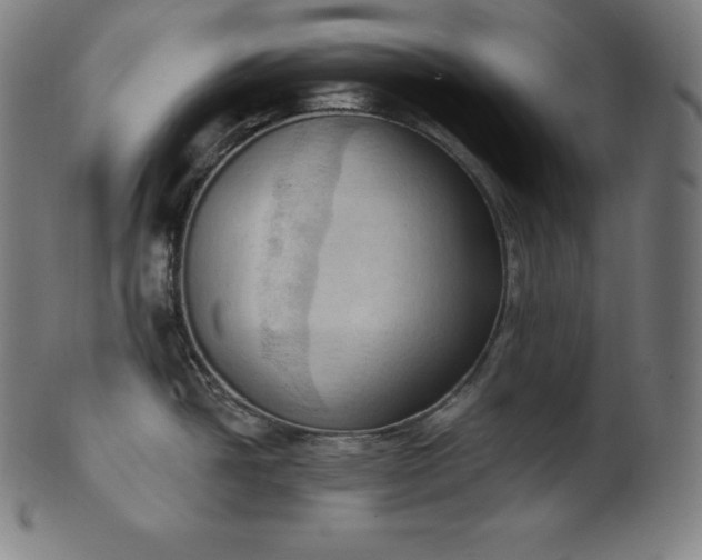 X0000101211438200807111022