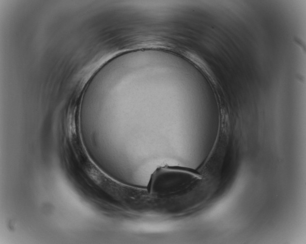 X0000101211439200807111022