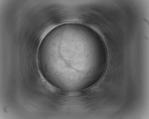 X0000101211440200807111022