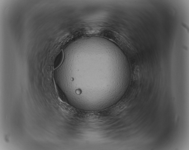 X0000101211441200807111022