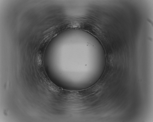 X0000101211442200807111022