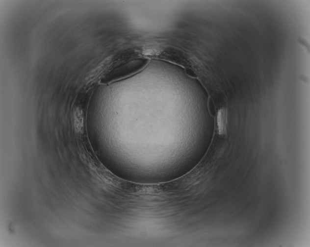 X0000101211443200807111022