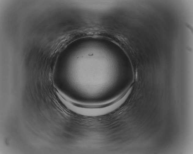 X0000101211444200807111022