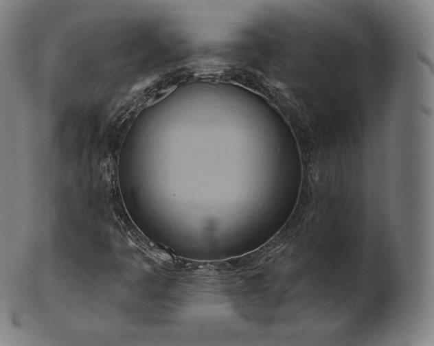 X0000101211445200807111022