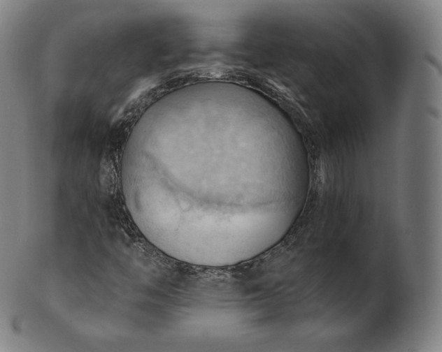 X0000101211446200807111022