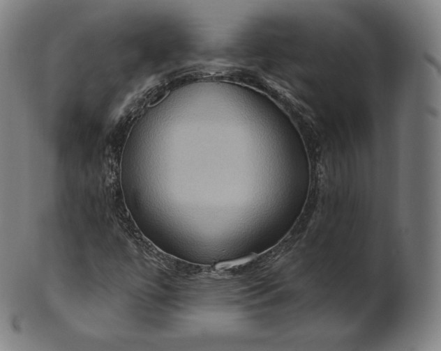 X0000101211447200807111022