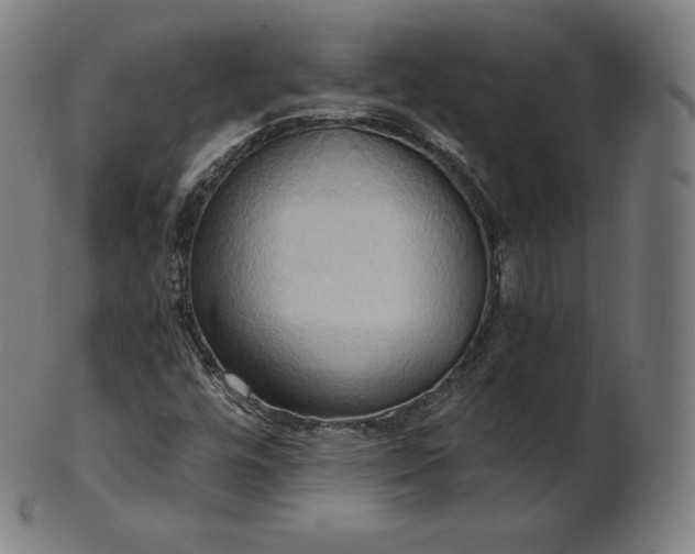 X0000101211448200807111022