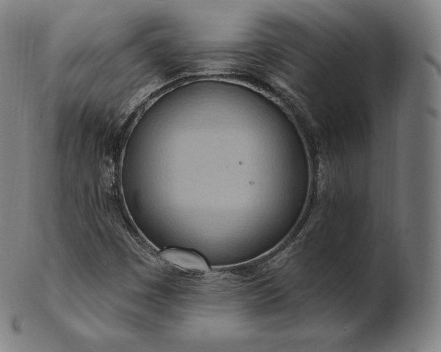 X0000101211449200807111021