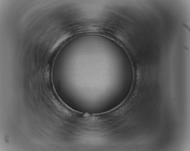 X0000101211450200807111021