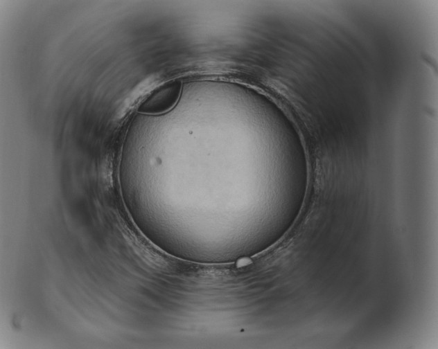 X0000101211451200807111021