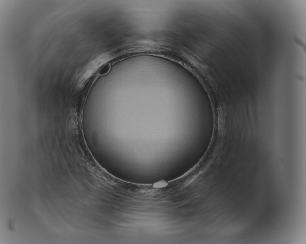 X0000101211453200807111021