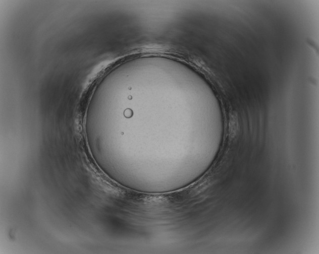 X0000101211454200807111021