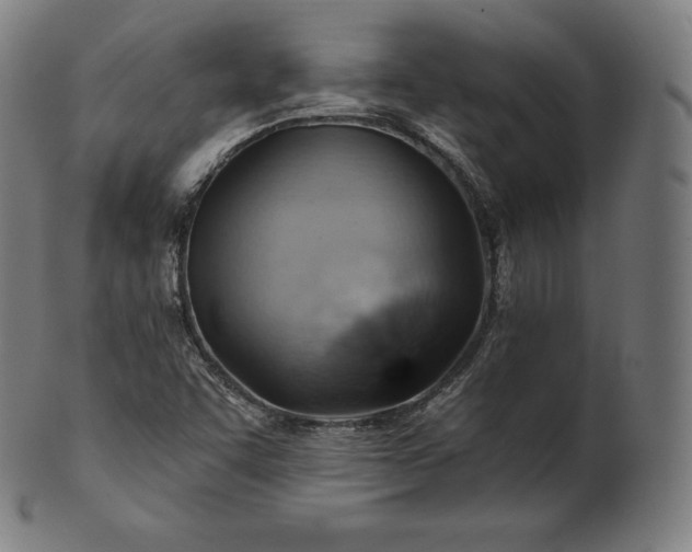 X0000101211455200807111021