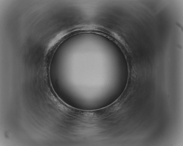 X0000101211456200807111021