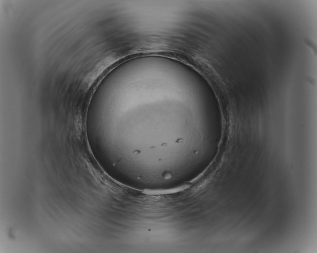 X0000101211457200807111021