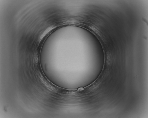 X0000101211458200807111021