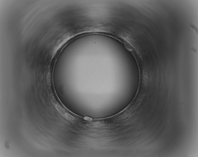 X0000101211460200807111021