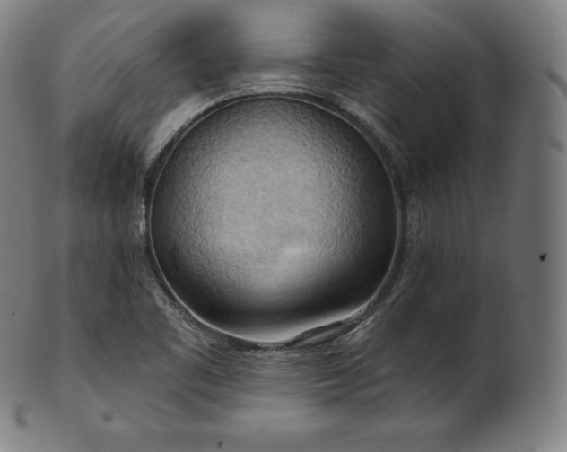 X0000101211461200807111021