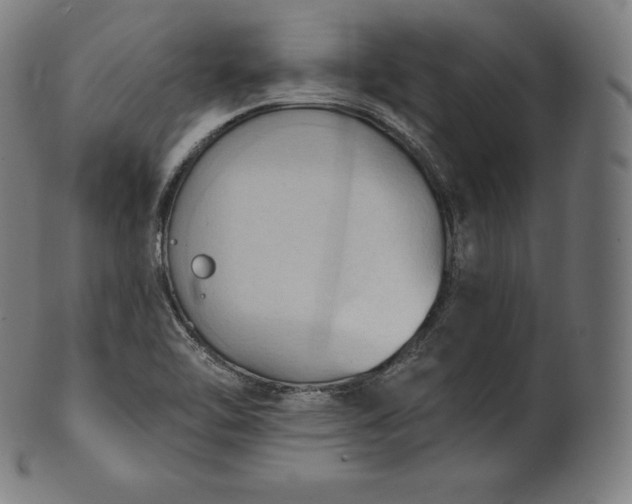 X0000101211462200807111021