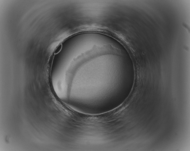 X0000101211463200807111021