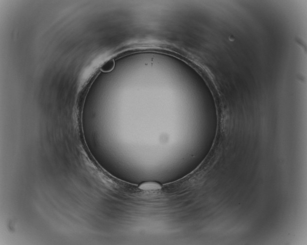 X0000101211464200807111021