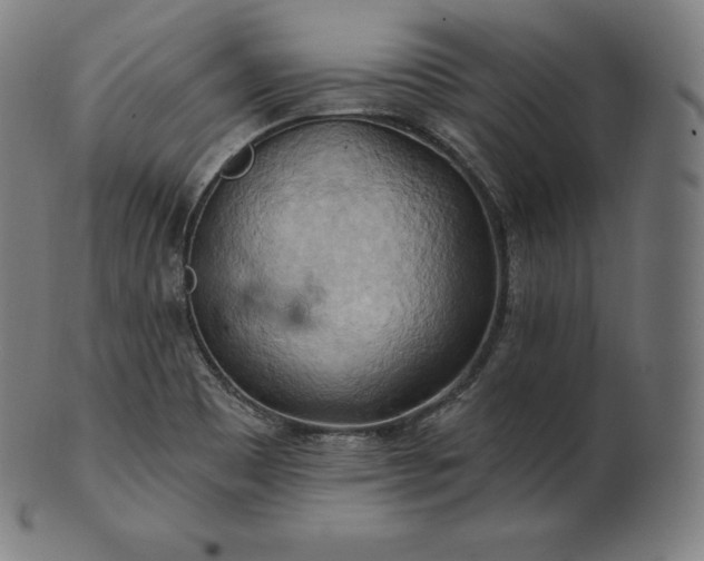 X0000101211465200807111021