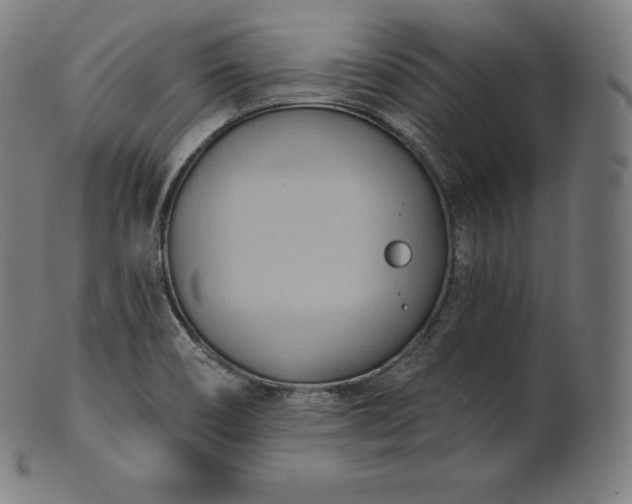 X0000101211466200807111021