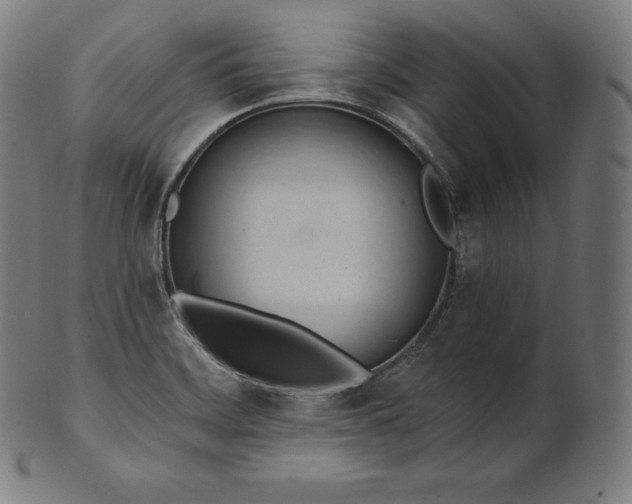 X0000101211468200807111021