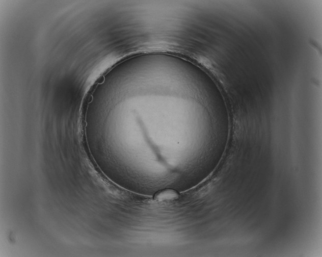 X0000101211469200807111021